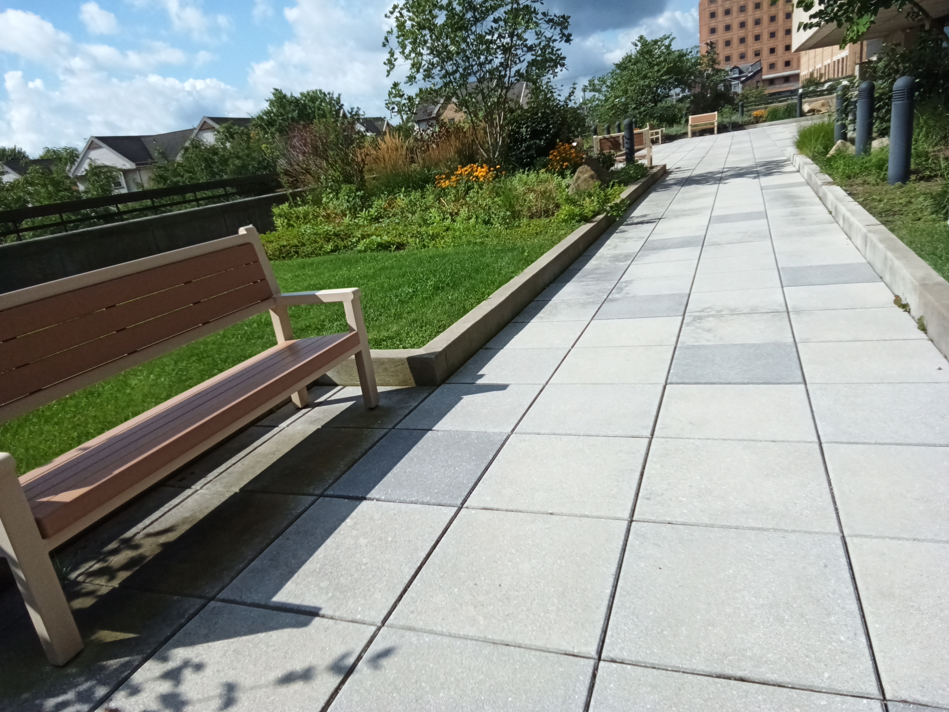 Photo of a polinator garden. A garden that attracs polinators to pollinate gardens
