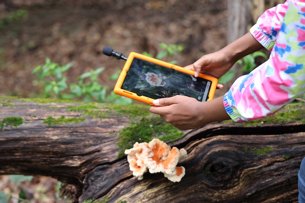 student uses chromebook to take a Photo